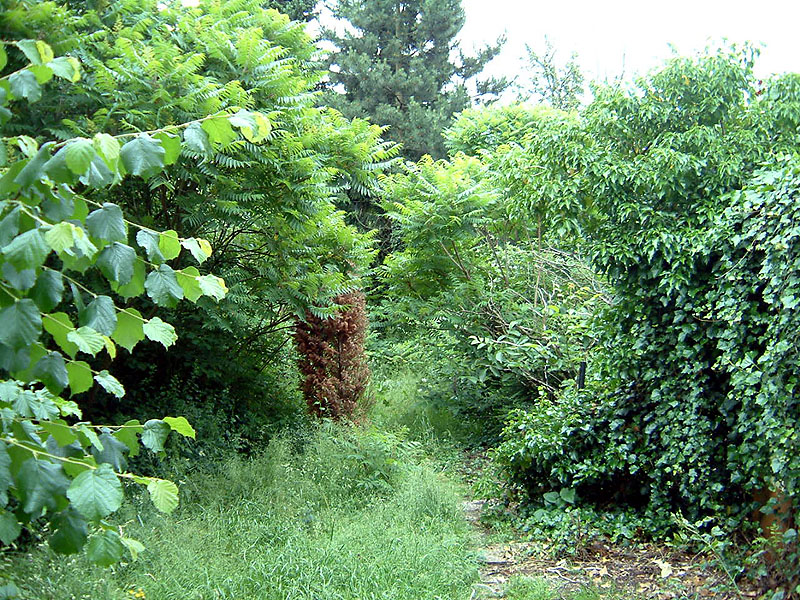 Schritt 1